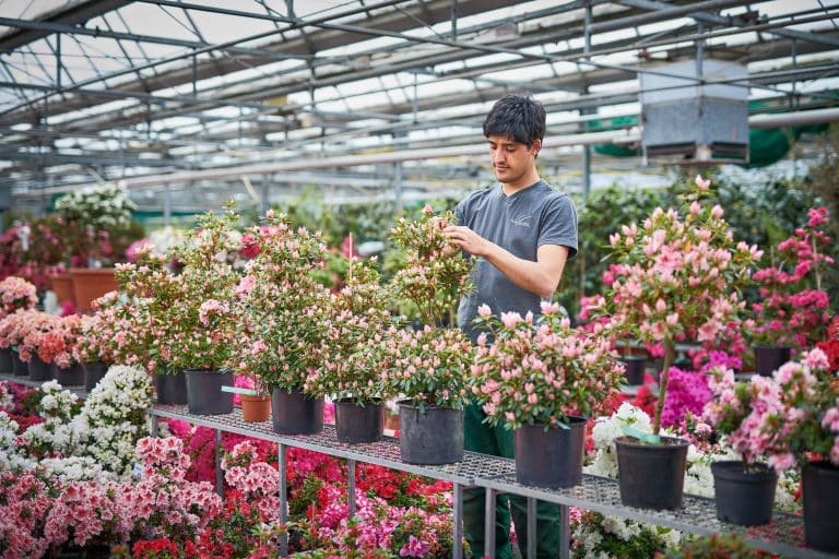 Businessfotografie Personalwerbung