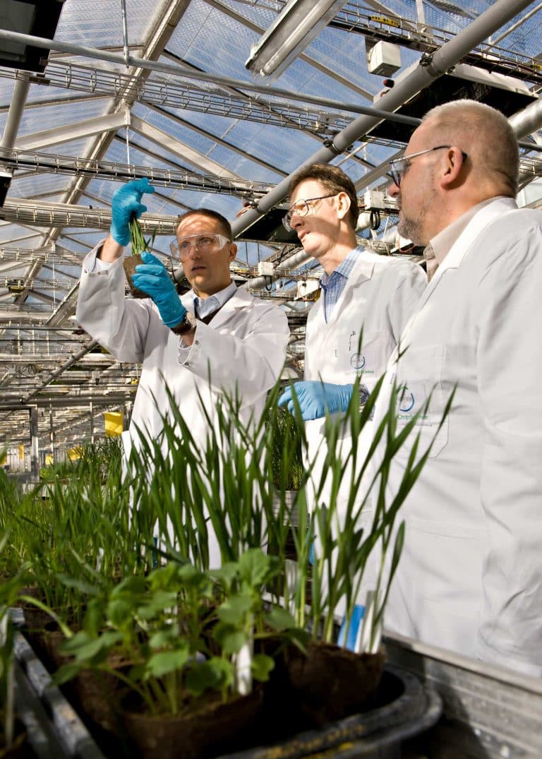 Professionelle Businessfotografie und Businessportraits für Mitarbeitermagazine